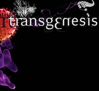 TransGenesis